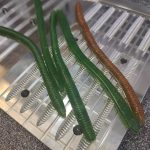 molde vinilo de pesca lombriz